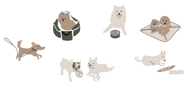 USER-CENTRIC DESIGN, FROM THE PERSPECTIVE OF YOUR PETS.
