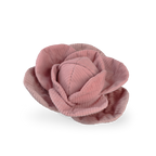 Cabbage POP
