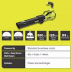Ryobi 40V Brushless 20 In. Walk Behind Self-Propelled Mower/String Trimmer/Leaf Blower With 2 Batteries And 2 Chargers