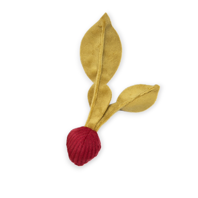 RADISH