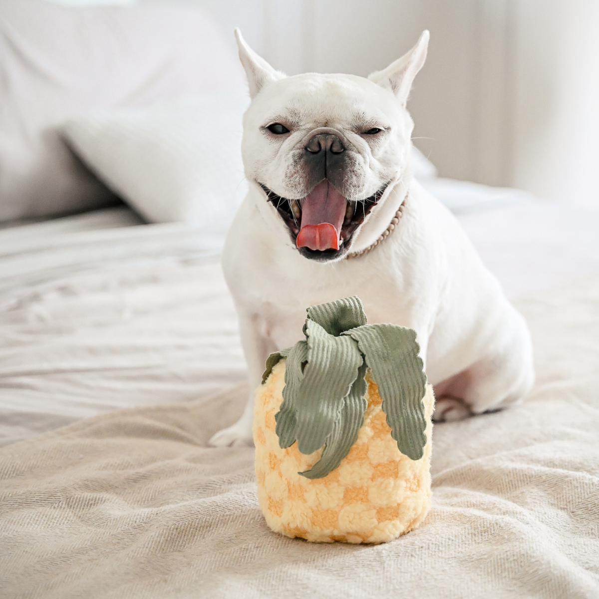 MY PINEAPPLE POP