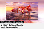 Samsung 32-Inch Class QLED Q60A Series, 4K UHD Dual LED Quantum HDR Smart TV With Alexa Built-In, QN32Q60AAFXZA, 2021 Model