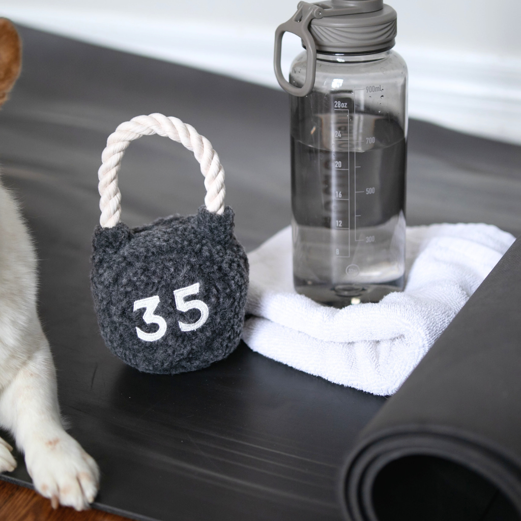 KETTLEBELL