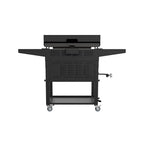 Blackstone 2-Burner 28 In. Griddle With Electric Air Fryer And Hood