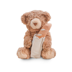 Teddy Baguette