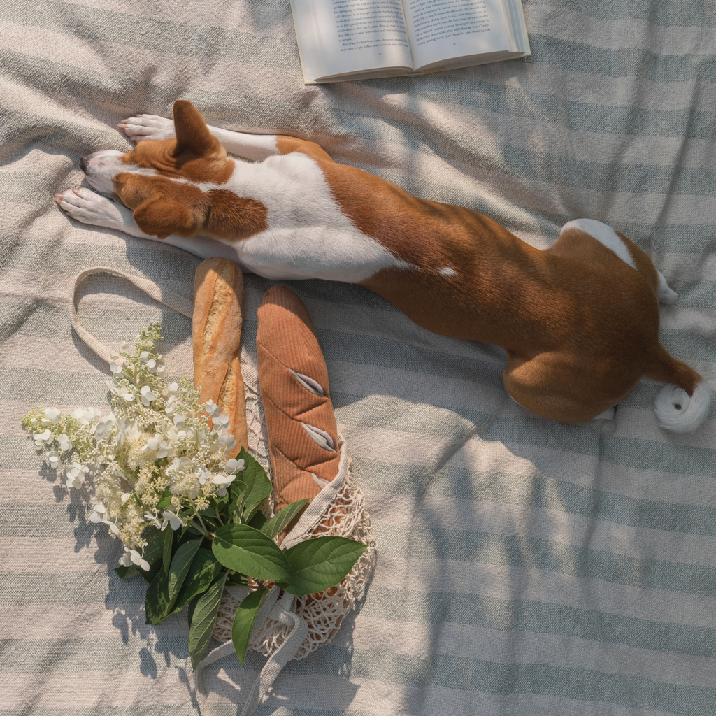 MY BAGUETTE