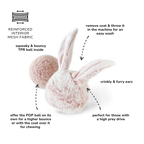 Bunny POP