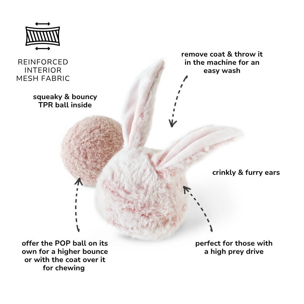 Bunny POP