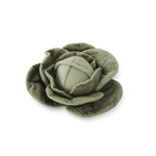 Cabbage POP