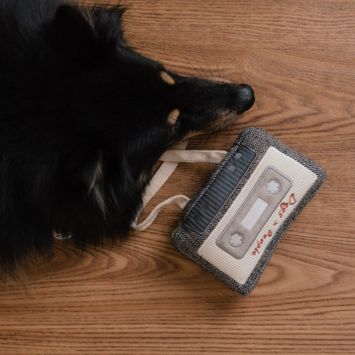 CASSETTE