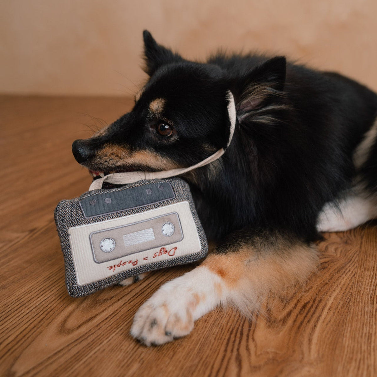 CASSETTE