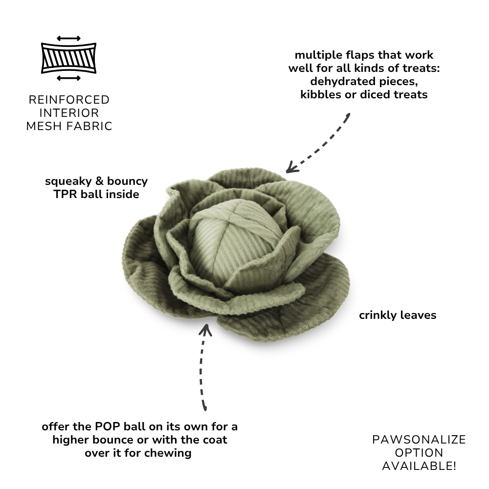 Cabbage POP