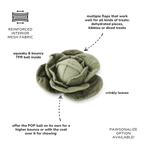 Cabbage POP