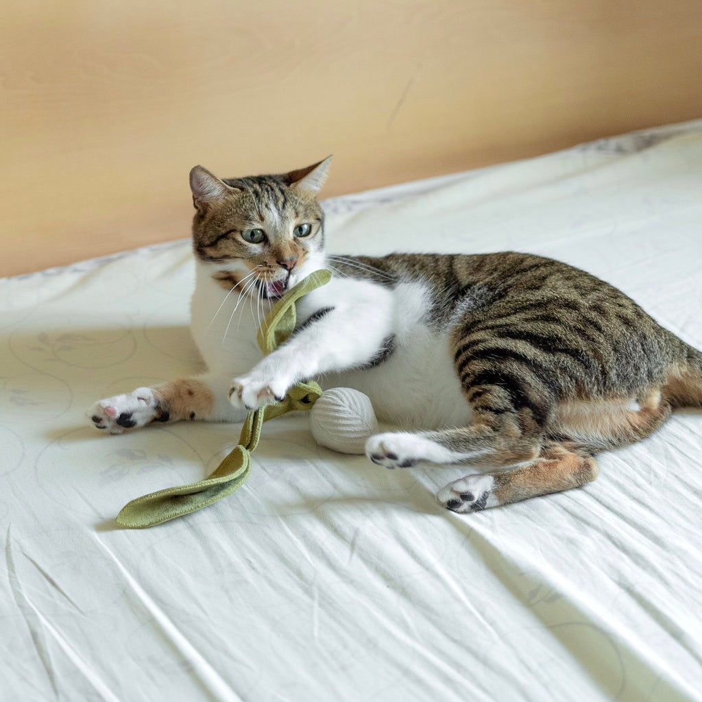 RADISH