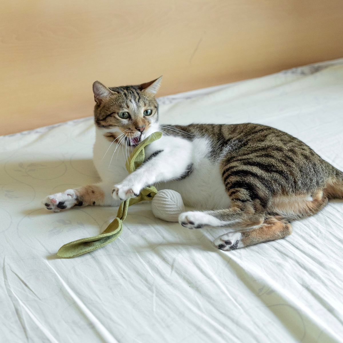 RADISH