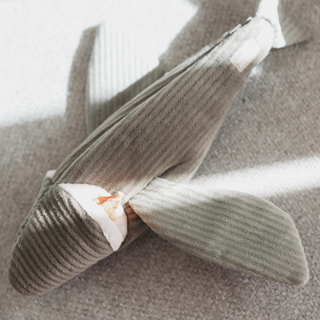 FLYING FISH
