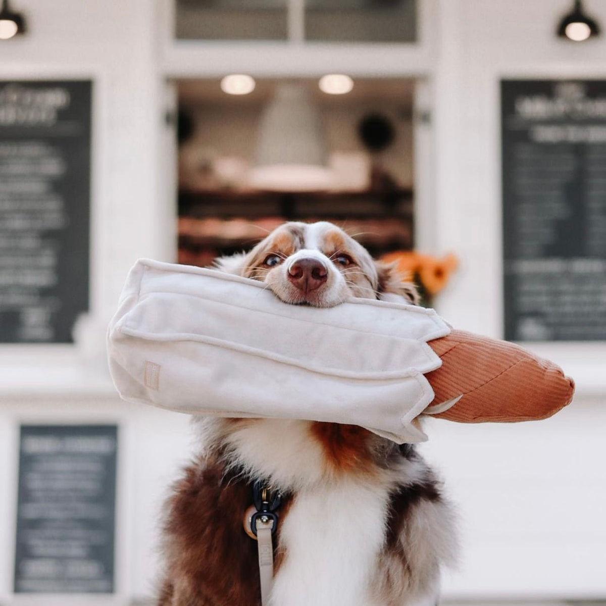 MY BAGUETTE