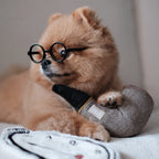 Surrealist Snuffles