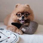 Surrealist Snuffles