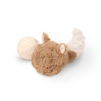 FOX POP