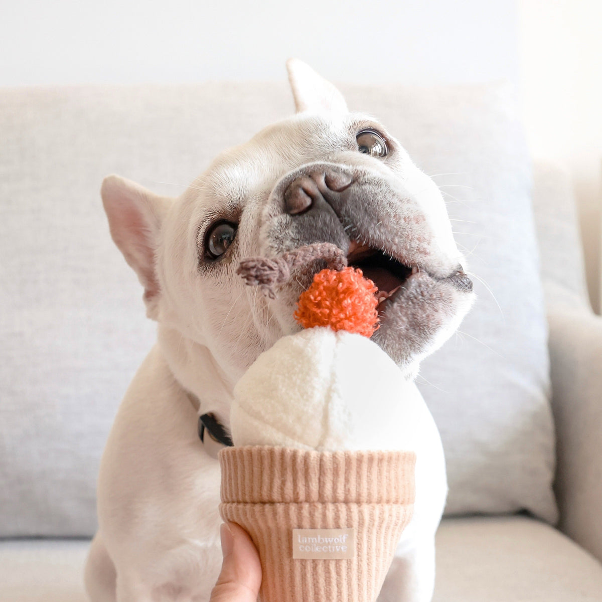 Ice Cream POP