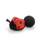 LADYBUG POP