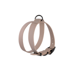 OTTO