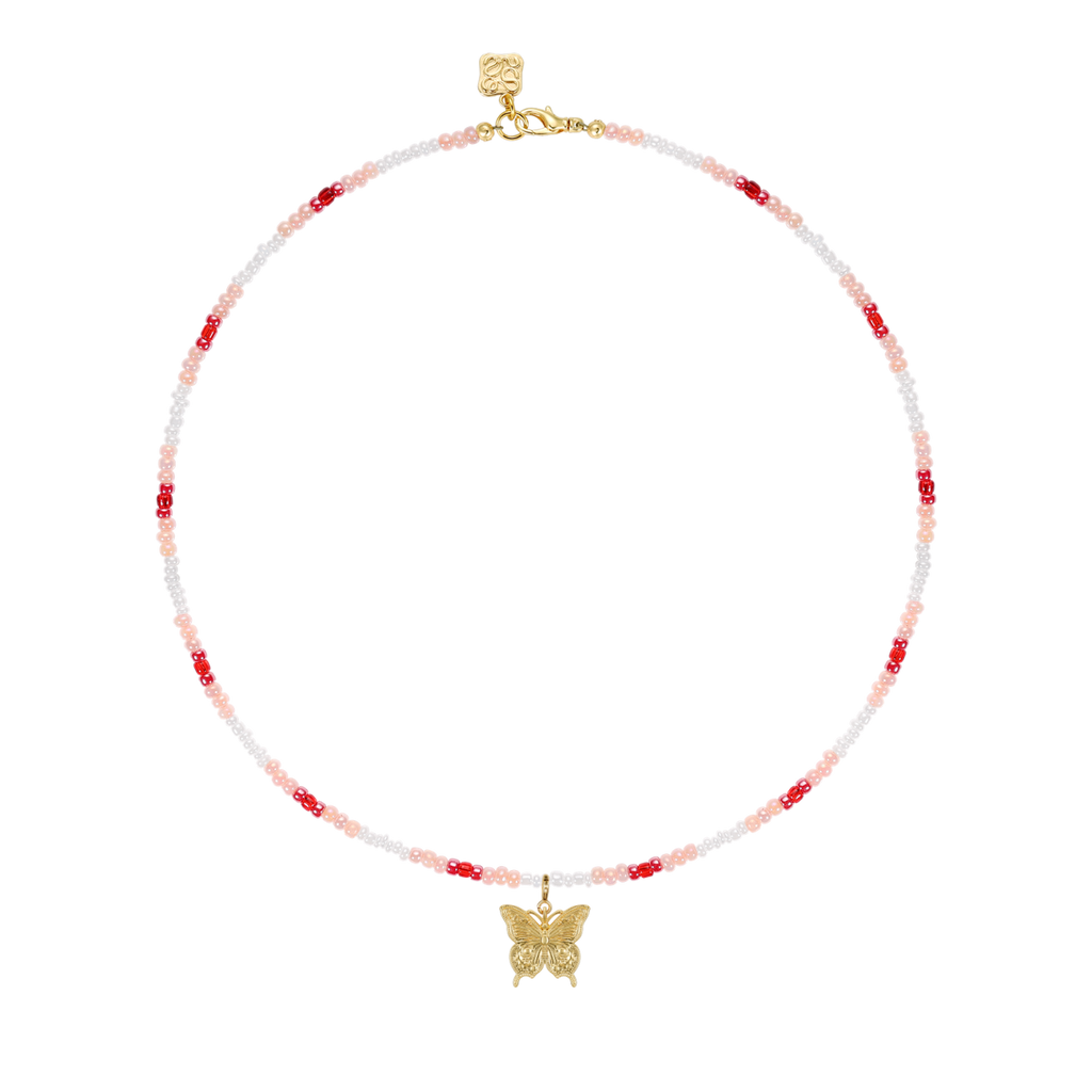 Papillon Memento