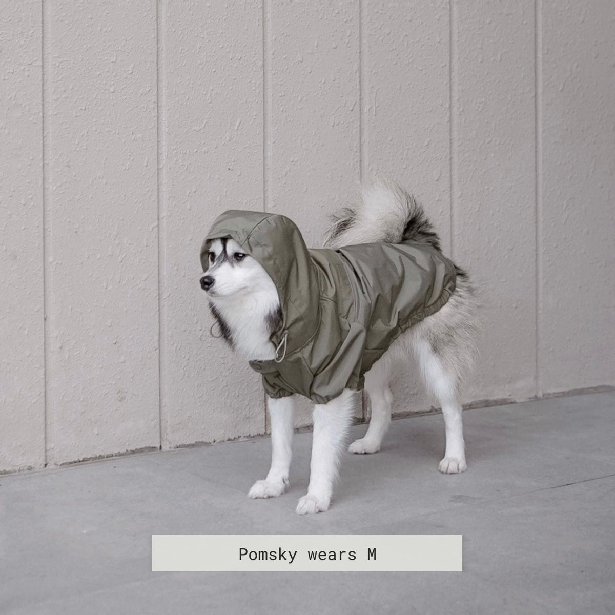 BROOKLYN