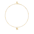 Shiba Memento