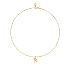 Shiba Memento