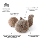Squirrel POP