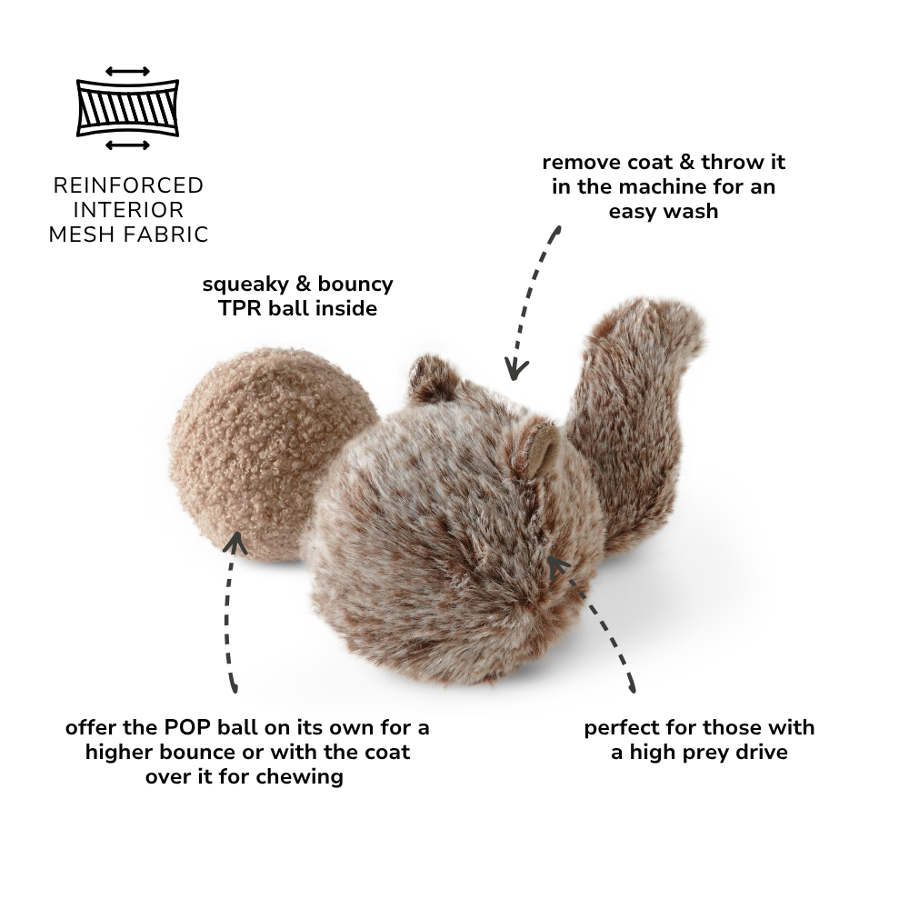 Squirrel POP