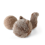Squirrel POP