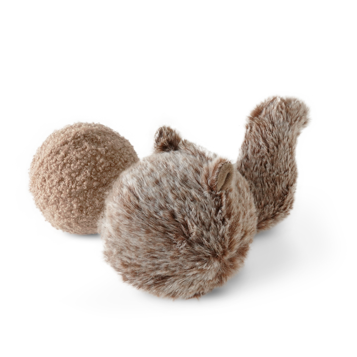 Squirrel POP