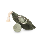 Pea POP