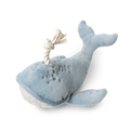 Wally The Whale