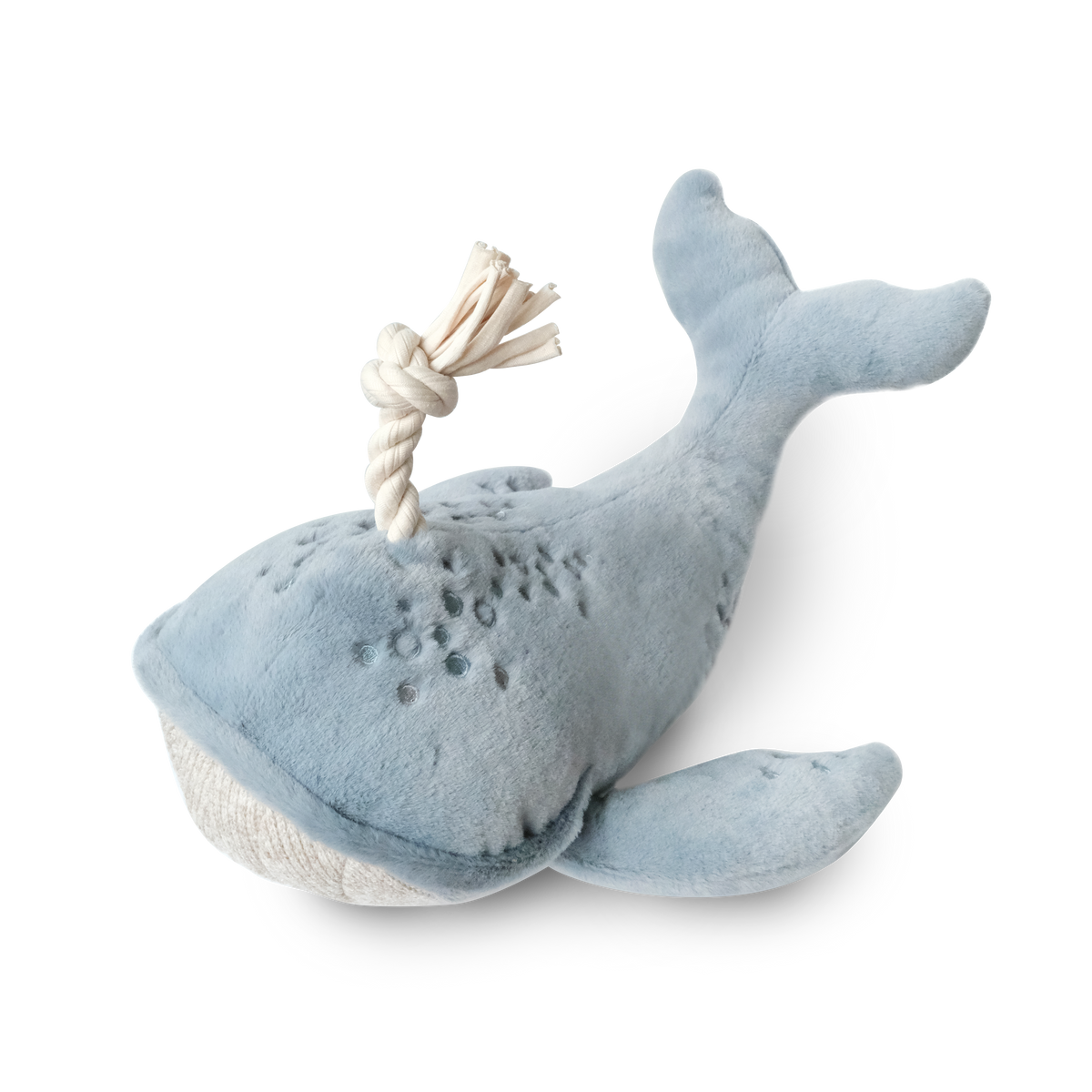 Wally The Whale