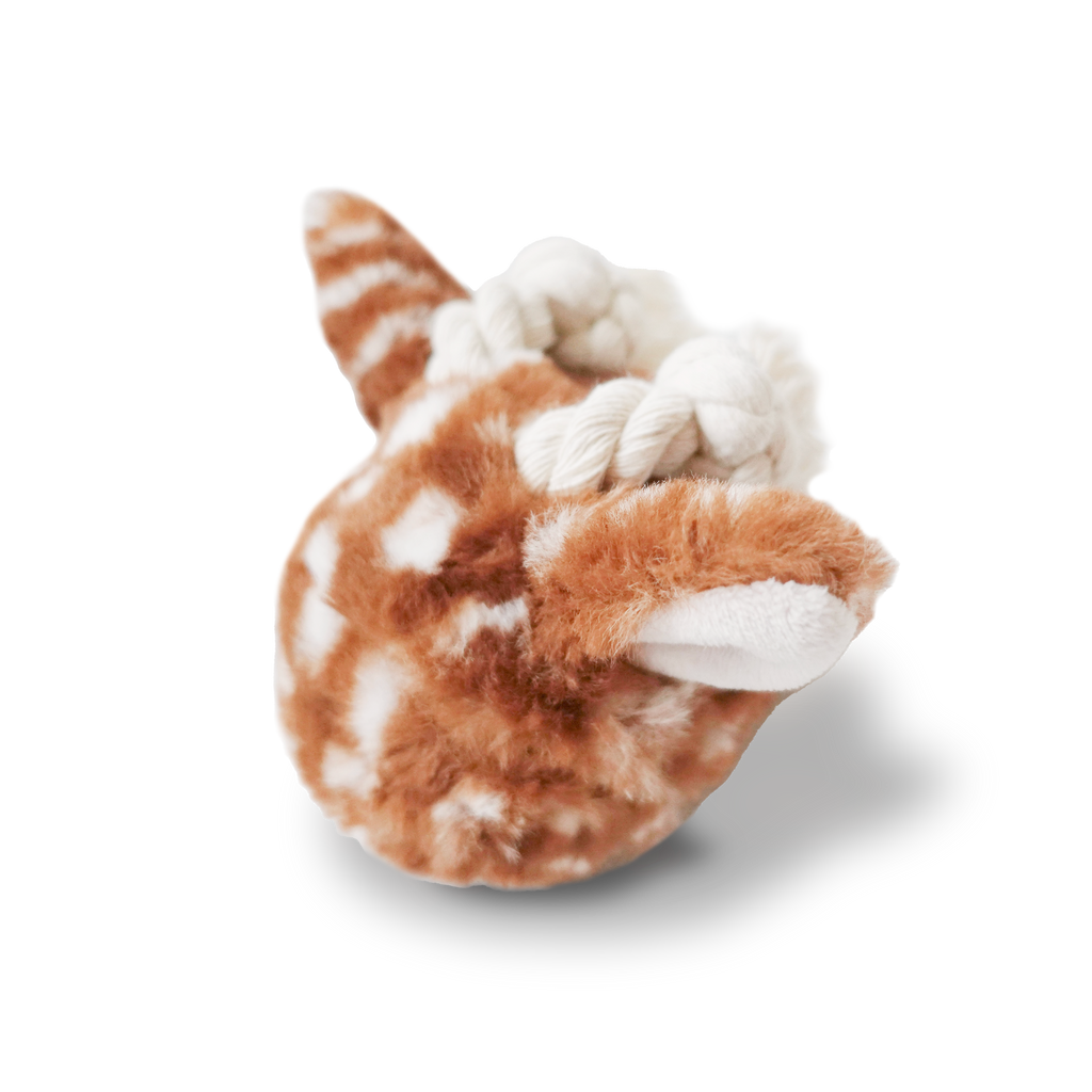 Fawn POP