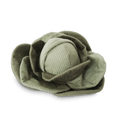 LARGE Cabbage POP