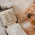 SETTING POWDER & BRUSH