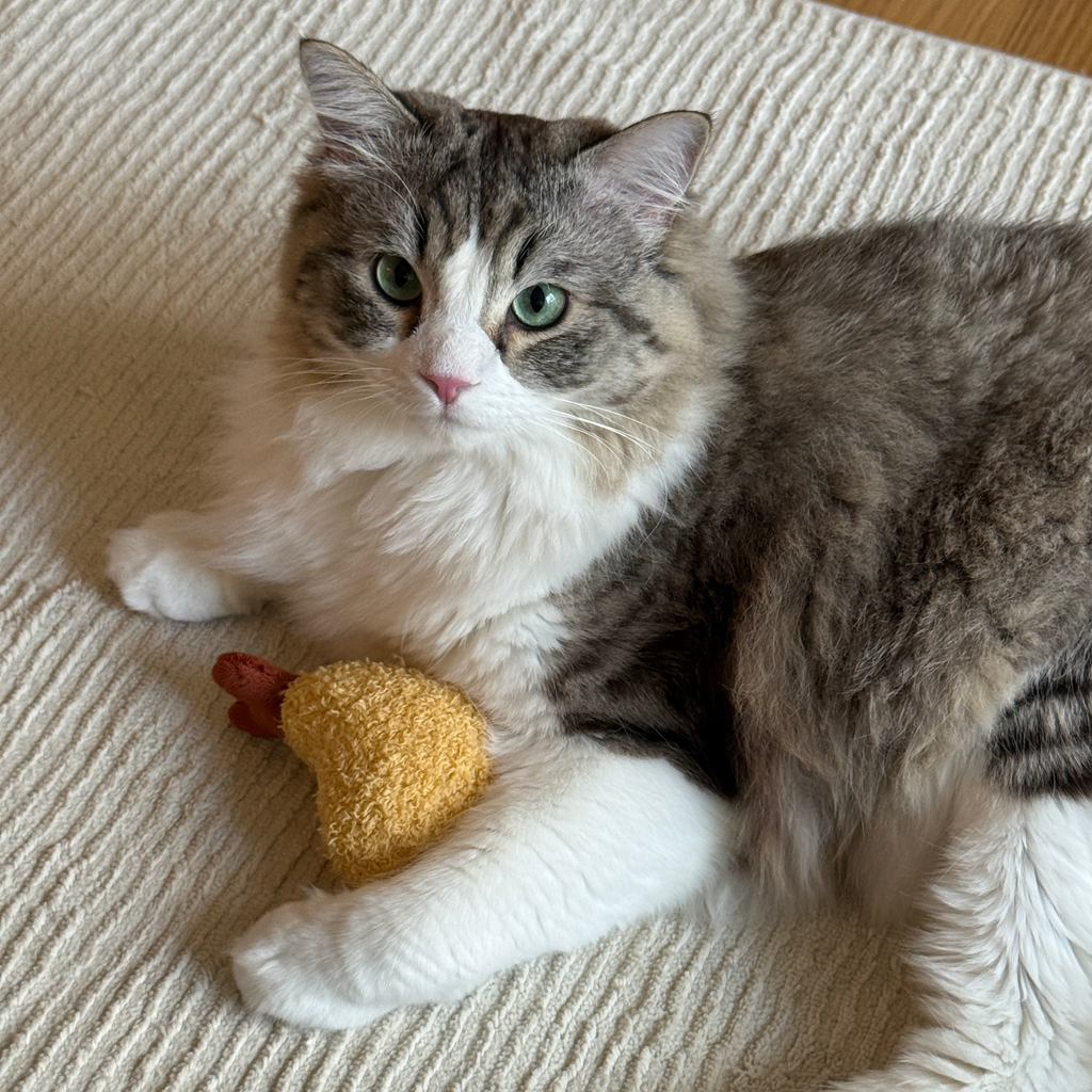 KITTY TEMPURA