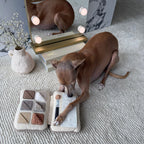 EYESHADOW PALETTE