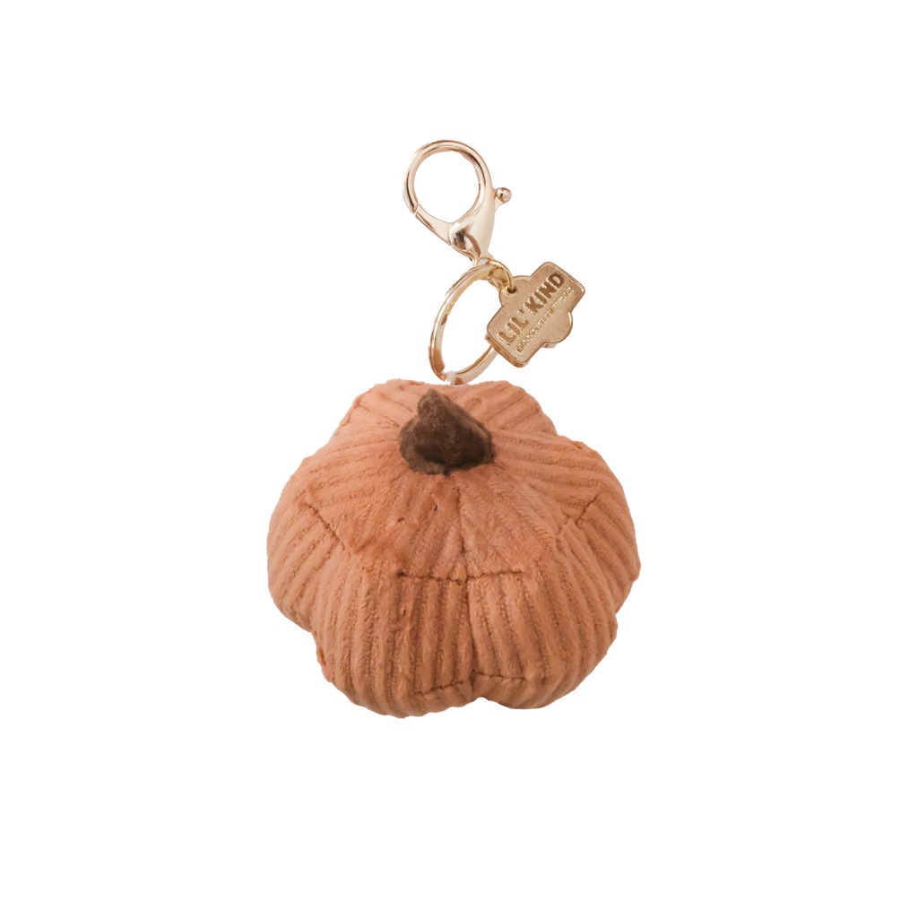 Cinderella CHARM