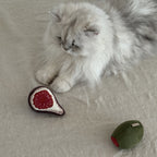 OLIVE + FIG