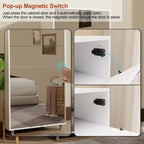 Mirror Shoe Cabinet With 6 Flip Drawers, Shoe Rack Organizer Store Ample Shoes,4 Metal Legs, Hand-Touch Flip-Out Door