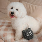 KETTLEBELL