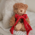 MY Teddy