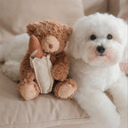 Teddy Baguette