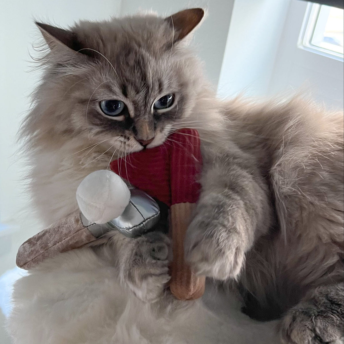 KITTY GOLFER